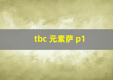 tbc 元素萨 p1